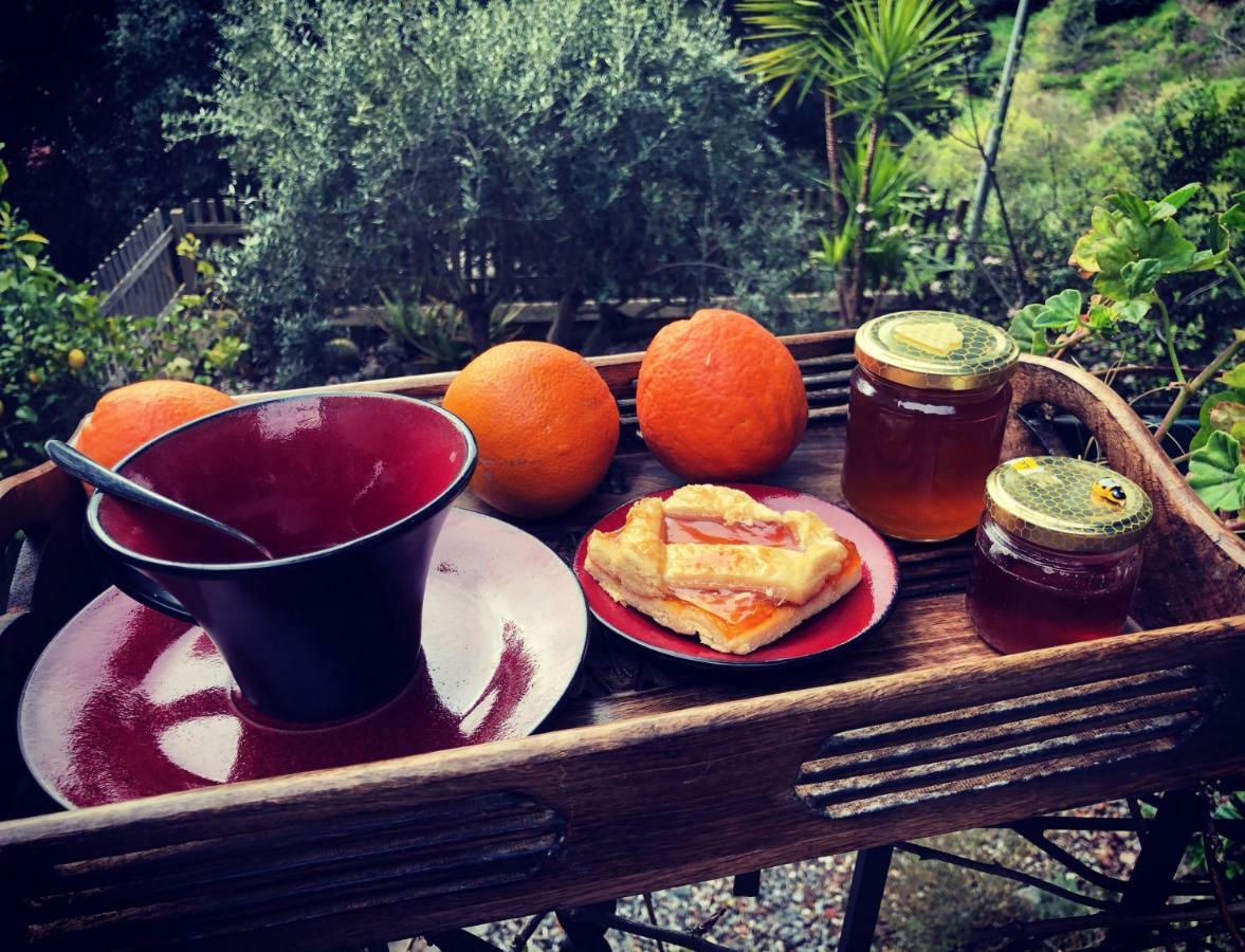 Bed and Breakfast Selu Jerzu Esterno foto
